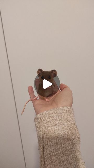 Marina Gorjanc on Instagram: "SOLD Finished this realistic mice and he will be listed in my etsy shop today😁 Isn't he cute🥰 #needlefelted #needlefeltedmice #realizamfelting #realisticanimalssculpture #animalsreel #videoreels #reelsinstagram #reelsoftheday #cutemice #micefelted #artistmade #artsculptures #realisticmice #smallsculpture #fiberart #filzen #filztiere #commision #collectibles #handmadeanimals #tutorialreels #diyvideo #lovewhatido" Needle Felting Diy Tutorials, Mouse Diy, Craft Pipe Cleaner, Felted Mice, Felt Mice, Needle Felted Mouse, Needle Felting Tutorial, Dollhouse Tutorials, Needle Felting Diy