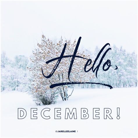 ❄️ Hello, December! ❄️ Chapter 12 of 12. May the last one, be the BEST one!  #HappyHolidays #AStarIsBorn #HelloDecember December Chapter 12 Of 12, Chapter 12 Of 12, Hello December, A Star Is Born, Last One, Be The Best, Happy Holidays, Quick Saves