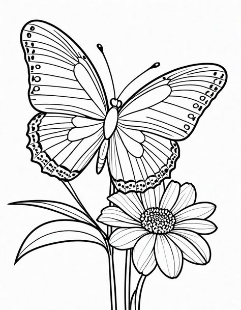 Free Butterfly Coloring Page Monarch Butterfly Coloring Pages, Coloring Page Butterfly, Butterfly Coloring Pages, Butterfly Coloring, Draw Doodle, Butterfly Printable, Kids Bedroom Furniture, Monarch Butterfly, Colorful Butterflies