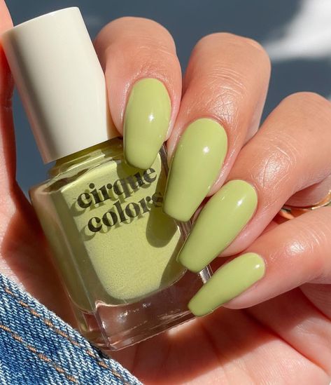 Cirque Colors (@cirquecolors) • Instagram photos and videos Avocado Green Nails, Avocado Nails, Cirque Colors, Avocado Green, Green Nails, Nail Colors, Avocado, Cowboy, Nail Polish