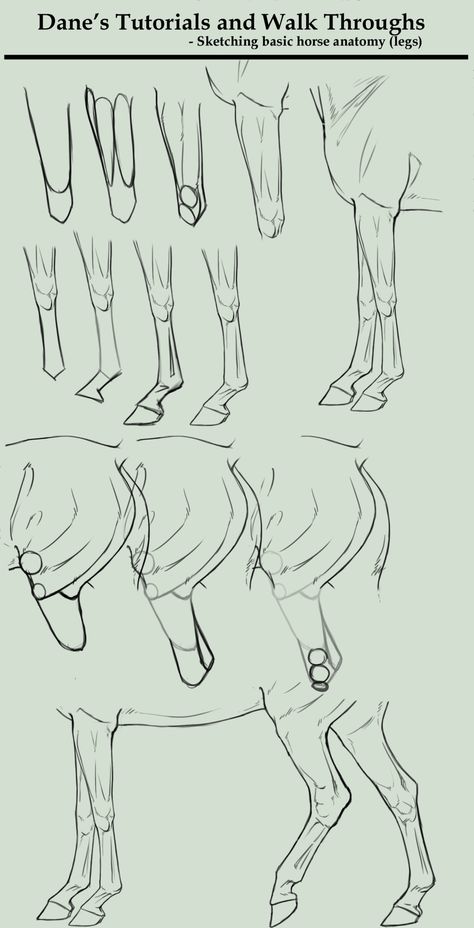 How To Draw Horses, Horse Drawing Tutorial, Draw A Horse, Drawing Horses, Horse Art Drawing, Drawing Legs, Drawing Instructions, Horse Sketch, Horse Anatomy