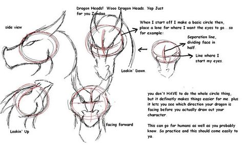 Dragon Facing Forward, Dragon Head Drawing, Dragon Sketches, Dragon Tutorial, Drawing Dragons, Dragon Poses, Dragon Anatomy, Dragon Heads, Dragon Horns