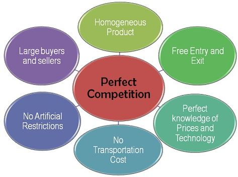 Perfect Competition Economics, Market Structure Economics, Perfect Competition Market, Economics Poster, Market Structure, Economics Notes, Economics Project, Perfect Competition, Economics Lessons