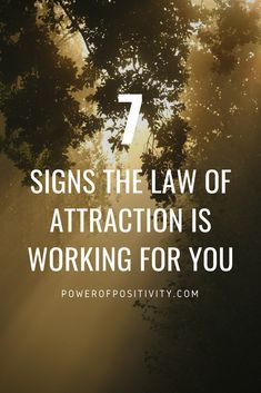 Law Attraction, Power Of Attraction, Become Wealthy, Attraction Quotes, Wealth Affirmations, Law Of Attraction Tips, Secret Law Of Attraction, Manifestation Law Of Attraction, Law Of Attraction Affirmations