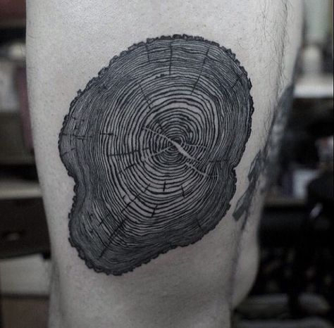 Oak Tree Tattoo Designs, Tree Ring Tattoo, Tree Tattoo Back, Tree Tattoo Men, 42 Tattoo, Oak Tree Tattoo, Tattoo Tree, Creative Tattoo, Omerta Tattoo