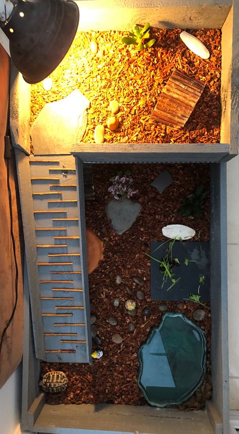 Tortoise Vivarium Ideas, Tortoise Terrarium Indoor, Pet Tortoise Habitat Indoor, Tortoise Enclosure Indoor Diy, Tortoise Tank Ideas, Indoor Tortoise Enclosure, Russian Tortoise Enclosure, Indoor Tortoise Enclosure Diy, Diy Tortoise Habitat Indoor