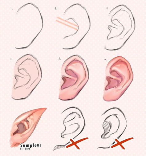 How to Draw ears by @kawanocy..DISCLAIMER!!! I DON’T OWN ANY OF THE ART I POST.. This account is just an alter account I use for personal art references.Dm me for removal or email for others things! How To Draw Ears, Poses References, Digital Painting Tutorials, Body Drawing, Anatomy Reference, Anatomy Art, Digital Art Tutorial, Drawing Tips, Art Tips