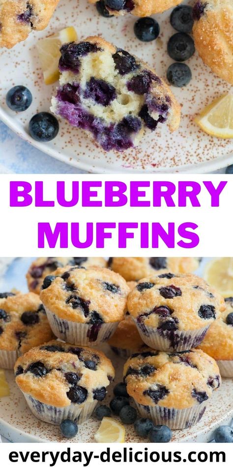 Perfect Blueberry Muffins, The Best Blueberry Muffins, Blueberry Yogurt Muffins, Blueberry Muffin Recipe Easy, Blueberry Muffin Recipe, Vanilla Muffins, Blueberry Yogurt, Banana Pudding Recipe, Yogurt Muffins