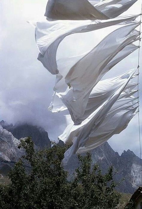 clothes line Irish Images, Blowin' In The Wind, Blowing In The Wind, Washing Line, Foto Art, Windy Day, Clothing Line, Futuristic Architecture, Summer Breeze