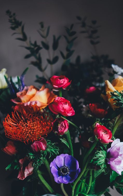 At the florist’s. Download this photo by Annie Spratt on Unsplash 7 Plus Wallpaper, Iphone 7 Plus Wallpaper, Frühling Wallpaper, Nature Iphone Wallpaper, Spring Wallpaper, Floral Iphone, Flower Centerpieces, Flower Images, Flower Photos