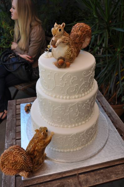 Squirrel Cake, Funny Wedding Cakes, Squirrel Pictures, Squirrel Funny, Cute Squirrel, Love Cake, Rice Cakes, Pretty Cakes, Creative Cakes