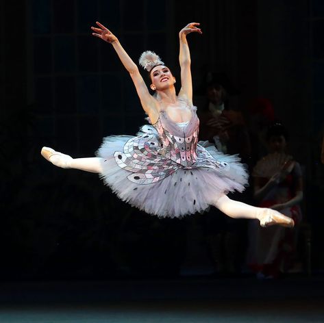 Isabella Boylston as Columbine in Alexei Ratmansky’s reconstruction of “Harlequinade.” Credit: Andrea Mohin/The New York Times Isabella Boylston, Houston Ballet, Pacific Northwest Ballet, Swan Lake Ballet, Ballet Performance, Ballet Boys, American Ballet Theatre, Types Of Dancing, Ballet Theater