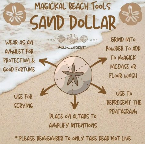 Beach Magic, Sand Witchcraft, Shells Witchcraft, Beach Witchcraft, Beach Witch, Seashell Witchcraft, Ocean Witch, Sea Witchcraft For Beginners, Seashells Witchcraft