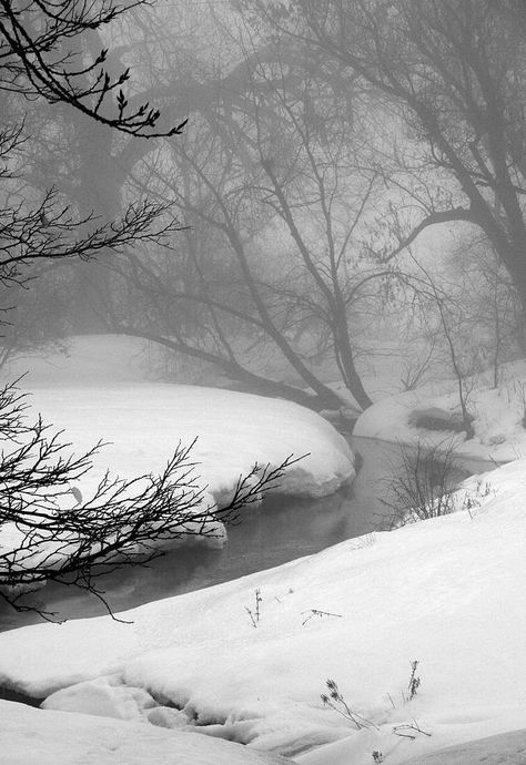 . Winter Schnee, I Love Winter, Have Inspiration, Winter Love, Winter Magic, Winter Scenery, Winter Beauty, Snow Scenes, Winter Pictures