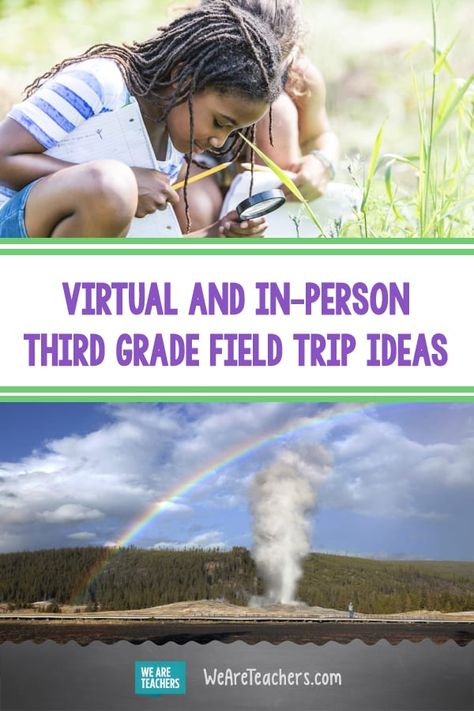 Check Out These Virtual and In-Person Third Grade Field Trip Ideas. For the best third grade field trips, look no further than this list with both virtual and in-person options for social studies and science learning. #thirdgrade #virtualfieldtrips #educationalresources #teachingresources #socialstudies #classroom #onlinelearning #fieldtrips 3rd Grade Field Trip Ideas, Field Trip Ideas, Civics Lessons, Social Studies Projects, Virtual Teaching, Science Learning, Third Grade Science, Teaching Third Grade, We Are Teachers