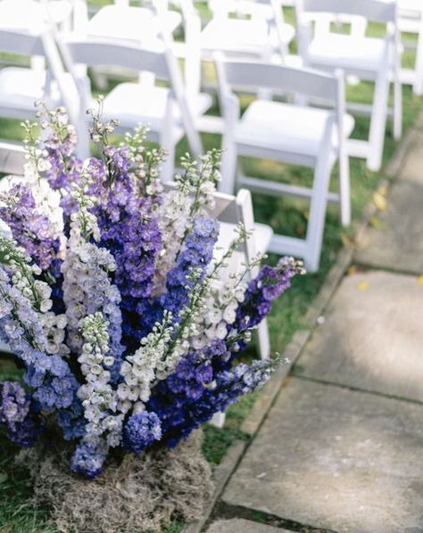 LèRoy French Flowers on Instagram: "Purple Delphinium 💜 . . . 📷 @daniellerealphotography 💟Team 💟 @tulleandtinseldc @glenviewmansion @maineventcatrs @dceventrentals . . . #aisledecor #weddingflowers #dmvweddings #outdoorceremony #weddingflowers #shadesofpurple #dmvflorist #leroyfrenchflowers" Delphinium Wedding Aisle, Delphinium Flower Wedding, Delphinium Wedding, Purple Delphinium, Delphinium Flowers, French Flowers, Aisle Decor, Wedding Aisle, Wedding Florals