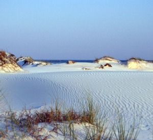 Deer Lake State Park, Highway30A-Recreation Deer Lake State Park Florida, Santa Rosa Beach Florida, Rosemary Beach Florida, Northwest Florida, Florida Panhandle, Florida State Parks, Seaside Florida, Seagrove Beach, Beach Place