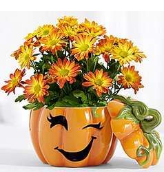 Trick-or-Treat Halloween Pumpkin Luminary with Mums Halloween Flower Arrangements, Pumpkin Designs Painted, Fall Container Plants, Halloween Floral Arrangements, Halloween Luminaries, Garden Tattoos, Scary Face, Succulent Gardens, Halloween Floral