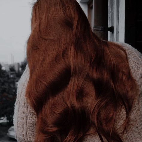 Dark Ginger, Faceless Aesthetic, Disney Princess Modern, Different Aesthetics, Modern Disney, Auburn Hair, Light Academia, Dream Hair, Auburn