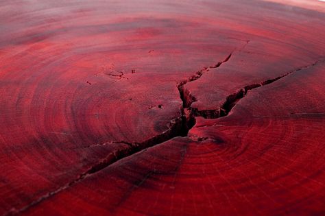 Red wood Red Wood Tattoo, Red Wood Aesthetic, Raw Cherry Wood, Red Stained Wood, Pony Ocs, Red Wood Forest California, Foto Transfer, Minds Eye, Red Wood