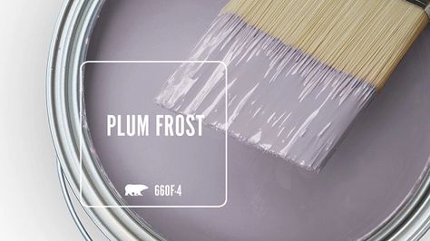 PLUM FROST 660F-4 | Behr Paint Colors Behr Purple Grey Paint Colors, Best Pale Purple Paint Colors, Grey Purple Paint Bedroom, Lavender Grey Bathroom, Purple Behr Paint Colors, Purple Nursery Paint Colors, Behr Purple Paint Colors, Gray And Purple Aesthetic, Purple Toned Grey Paint