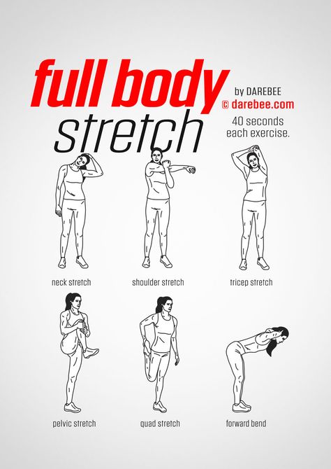 Full Body Stretch Stretches Before Workout, Workouts Cardio, Latihan Dada, Full Body Stretch, Office Exercise, Body Stretch, Trening Fitness, Yoga Exercises, Easy Yoga Workouts