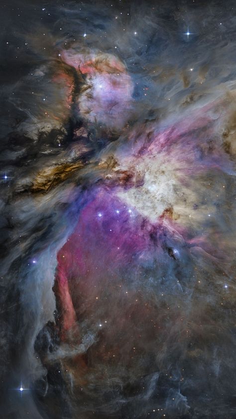 NASA Hubble Space Telescope captured these phenomenal images of space Real Space Images, Nasa Hubble, Orion Constellation, Nasa Photos, Nasa Images, Hubble Images, Orion Nebula, Star Cluster, Hubble Space