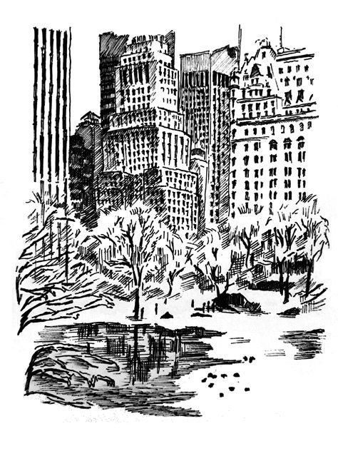 Central Park Sketch, Central Park Illustration, Tree Drawing, Online Gallery, Central Park, Coloring Books, Sketch Book, New York, Abstract Artwork