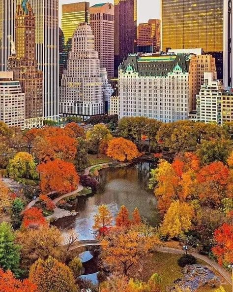 Nyc Fall, Central Park Nyc, Autumn In New York, Nyc Life, Ny City, Nyc Trip, Freelance Photographer, Best Seasons, The Plaza