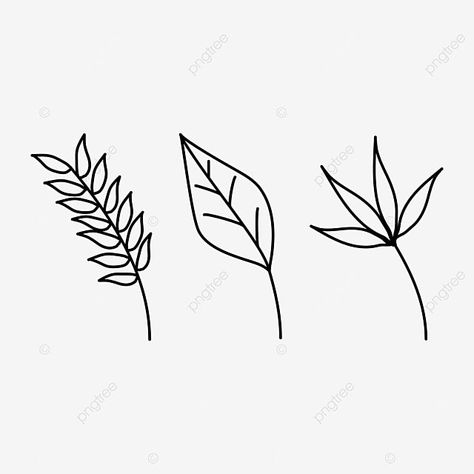 plants line art Plants Line Art, Ant Drawing, Drawing Plants, Plants Drawing, Art Plants, Drawing Png, Plant Drawing, Ad Art, Image Editor