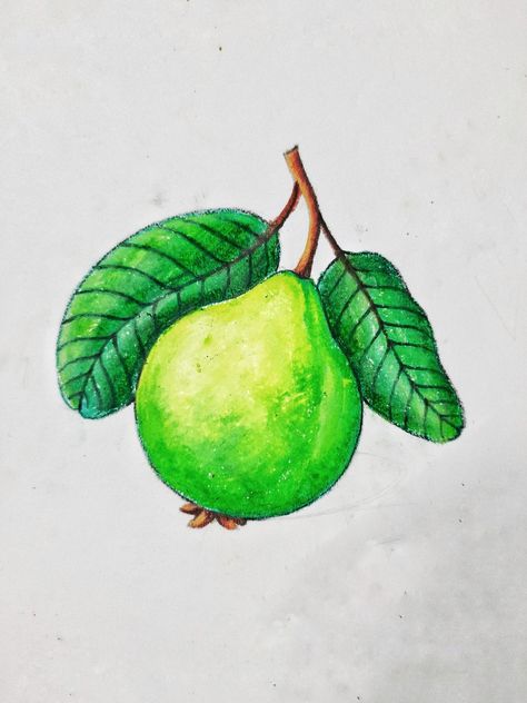 Vegetable Drawing For Kids, Fruits Drawing For Kids, Drawing Fruits, Colored Pencil Artwork Ideas, Scenery Drawing For Kids, Fruit Coloring, Vegetable Drawing, Colour Drawing, Drawing Books