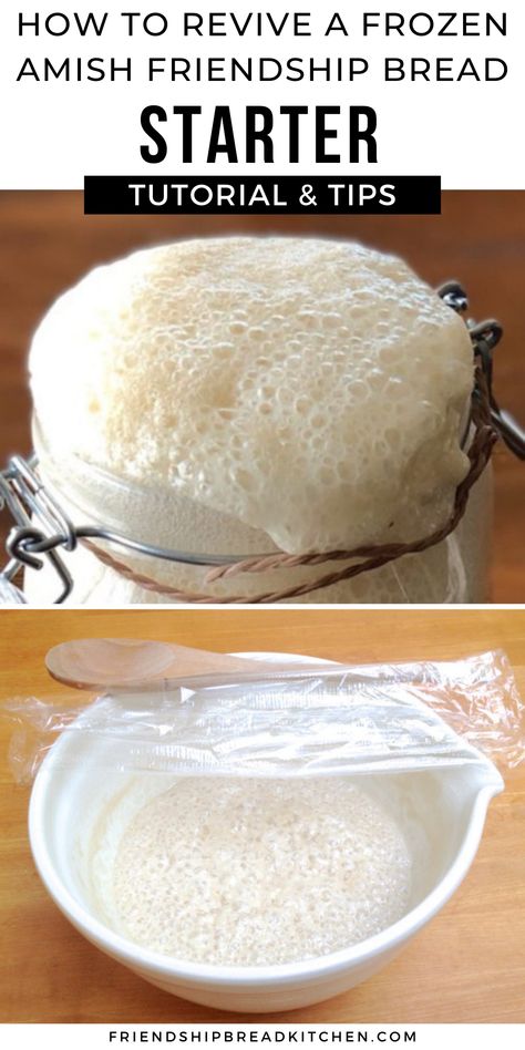 How To Freeze Amish Friendship Bread Starter, Amish Friendship Bread With Starter, Recipes For Amish Friendship Bread Starter, What To Make With Amish Friendship Bread Starter, Amish Friendship Starter Recipes, Friendship Bread Starter Recipe, Amish Bread Starter Recipes, Amish Friendship Bread Recipes, Sour Dough Bread Starter Recipe