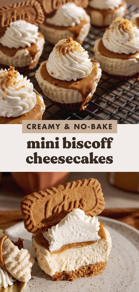 These no-bake mini biscoff cheesecakes are super creamy with a crunchy biscoff crust and airy whipped cream on top. They're easy to make and the perfect summer treat. #biscoff #cheesecake #nobakedessert | teakandthyme.com Mini Biscoff Cheesecake, Biscoff Crust, Biscoff Cheesecake, Cheesecake Mini, Cheesecake Toppings, Biscoff Spread, Crunchy Cookies, Spice Cookies, Mini Cheesecakes