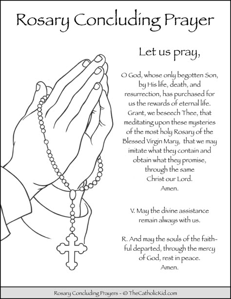 How To Use A Rosary, Rosary Activities Catholic, Catholic Prayers For Kids, Rosary Prayer Guide, Catholic Coloring Pages, Prayers For Kids, Rosary Prayers, Prayers Catholic, Rosary Prayers Catholic