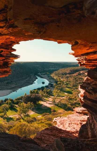 Australia's native plants - Tourism Australia Savanna Grassland, Western Australia Road Trip, Kalbarri National Park, Travel To Australia, Australia Landscape, Australia Tourism, Eucalyptus Trees, Time To Travel, Kangaroo Island