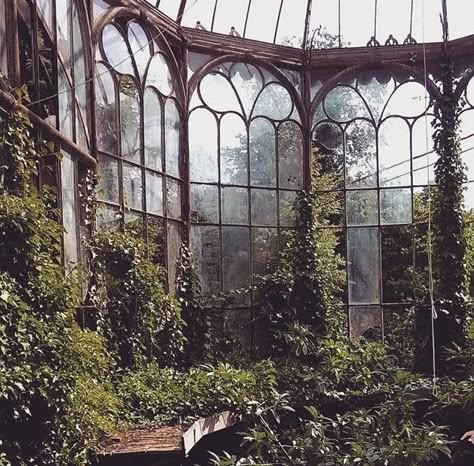 Beautiful abandoned greenhouse, which is part of the Chateau Rolls Royce abandoned castle, Belgium. Abandoned Greenhouse, Victorian Greenhouse, Victorian Greenhouses, Dark Naturalism, Castle Aesthetic, Abandoned Castles, The Chateau, Fantasy Aesthetic, Abandoned Buildings