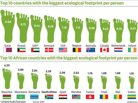 Technology Essay, Footprint Poster, Academic Services, Environmentally Friendly Living, Critical Essay, Ecological Footprint, Environmental Education, Teaching Social Studies, Environmental Issues