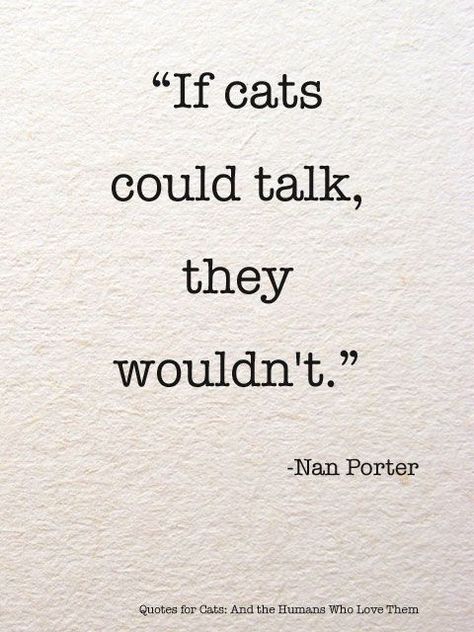 "If cats could talk, they wouldn't." - Nan Porter Kat Diy, Cat Quotes, Cat Person, Unwanted Hair, Animal Quotes, A Quote, Crazy Cat Lady, Crazy Cats, Cat Lady