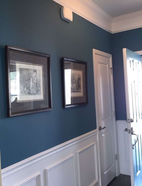 Walls With Chair Rail Color Schemes, Sherwin Williams Silken Peacock, Peacock Color Bedroom, Teal Hallway Ideas, Sw Silken Peacock, Silken Peacock Sherwin Williams, Sherwin Williams Denim, Bedroom With Chair Rail, Bedroom With Chair