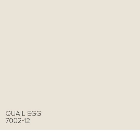 Here’s a tip from Genevieve Gorder: Quail Egg 7002-12 is the lightest beige, it’s a great wall color with a little warmth. Find more inspiration from our Valspar Perfect Neutrals Pinterest board: https://www.pinterest.com/valsparpaint/valspar-perfect-neutrals/  Lowe’s: Quail Egg 7002-12 ACE: Graceful White 32-1B Indepedent: Canterbury Cream V163 Beige Wall Colors, Colour Pallettes, Valspar Paint Colors, Valspar Colors, Beige Paint Colors, Genevieve Gorder, White Wall Paint, Valspar Paint, Beige Paint