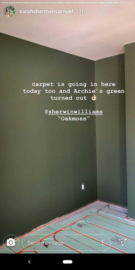 Rockweed Sherwin Williams, Sw Oakmoss, Oakmoss Sherwin Williams, Sherwin Williams Oakmoss, Color Palette Home, Green Painted Walls, Island Bedroom, Green Ideas, Bedroom Remodel