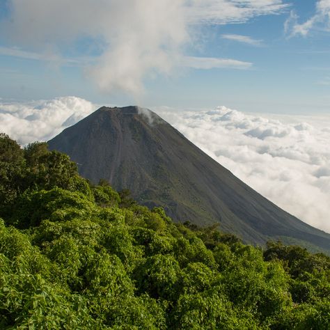 mountain in El Salvador Country To Travel, Belize City, Surf City, Tropical Destinations, Central American, Free Vacations, American Travel, Caribbean Islands, Beach Town