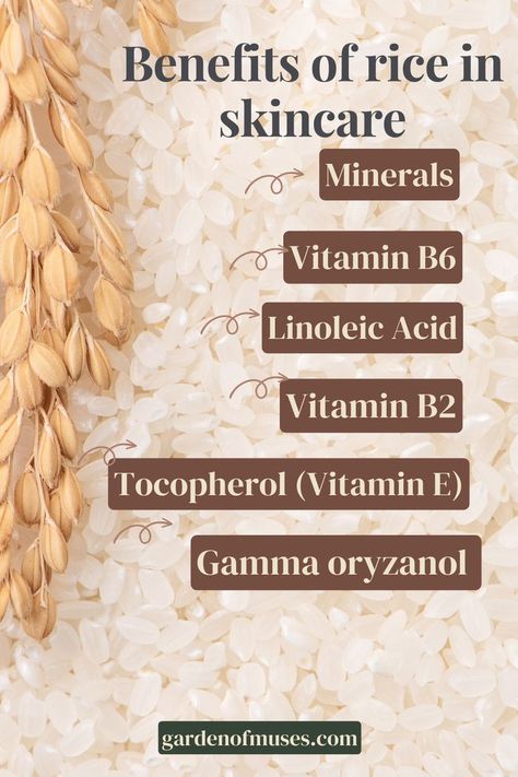 Benefits of rice in skincare Rice Benefits, Benefits Of Rice, Rice Toner, Thank You Farmer, Korean Rice, Linoleic Acid, Vitamin B6, Old Quotes, Skincare Ingredients