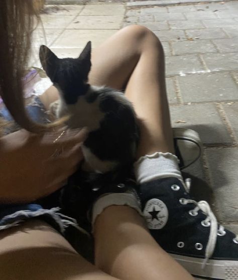 Converse With Frilly Socks, Frilly Socks With Converse, Cat Converse, Socks Coquette, Coquette Kitten, Converse Summer, Y2k Cat, Socks Aesthetic, Frilly Socks