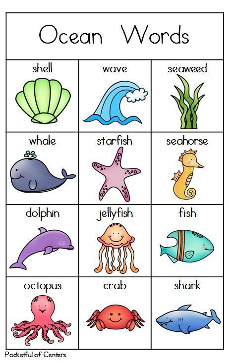 Ocean Animals Vocabulary Cards Ocean Words, Preschool Ocean, Ocean Theme Preschool, Writing Center Activities, Ocean Theme Classroom, Ocean Unit, Picture Drawing, Ocean Activities, Summer Preschool