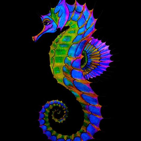 Bright Rainbow Seahorse Seahorse Painting, Seahorse Tattoo, Creature Marine, Seahorse Art, Sea Life Art, Beautiful Sea Creatures, Underwater Creatures, Bright Rainbow, Sea Horse