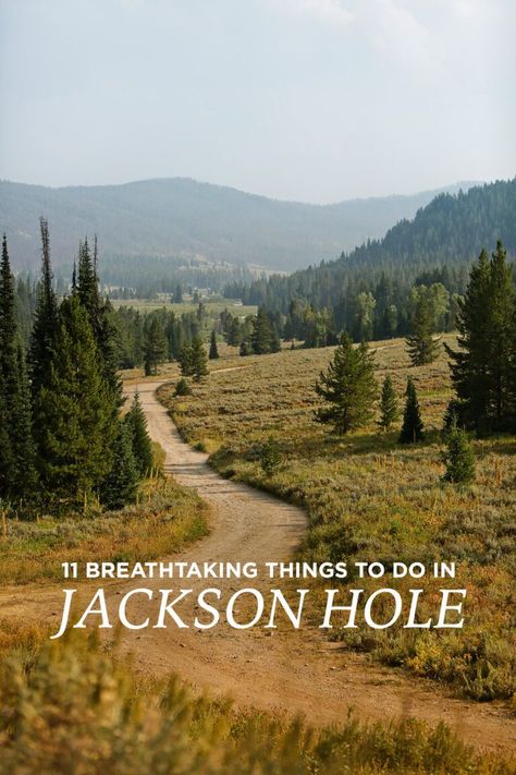 Don't miss these 11 things to do in Jackson Hole Wyoming. Whether you want to relax or challenge yourself with a hike, there's something for everyone. Jackson Hole Vacation, Yellowstone National Park Vacation, Wyoming Vacation, Yellowstone Vacation, Jackson Hole Wy, Yellowstone Trip, Wyoming Travel, Yucca Plant, National Park Vacation