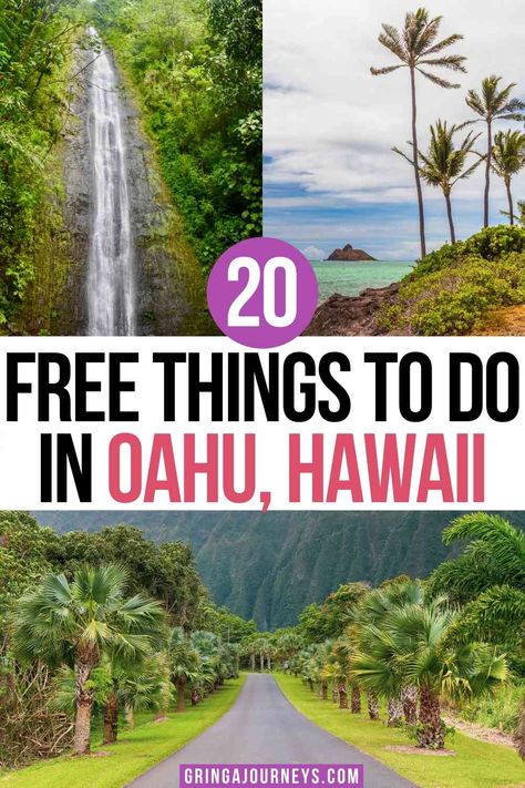 Things To Do In Waikiki, Things To Do In Honolulu, Oahu Activities, Hawaii Vacation Oahu, Honolulu Vacation, Hawaii Trip Planning, Hawaii Vacation Tips, Things To Do In Oahu, Hawaii Activities