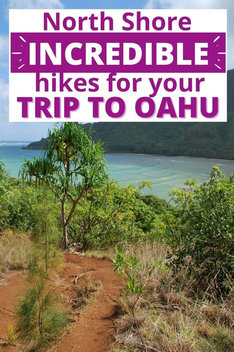 Oahu Hikes, Oahu Vacation, Oahu Travel, Hawaii Destinations, Hawaii Travel Guide, Visit Hawaii, Waterfall Hikes, Text Overlay, Hawaii Vacation