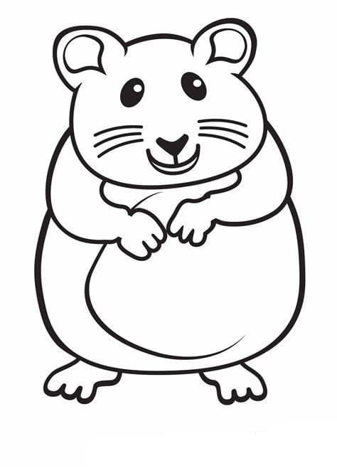 Hamster Outline coloring page Hamster Coloring Pages, Ninja Turtle Coloring Pages, Shape Coloring Pages, Easter Bunny Colouring, Anatomy Coloring Book, Pet Hamster, Cute Hamster, Bunny Coloring Pages, Barbie Coloring Pages